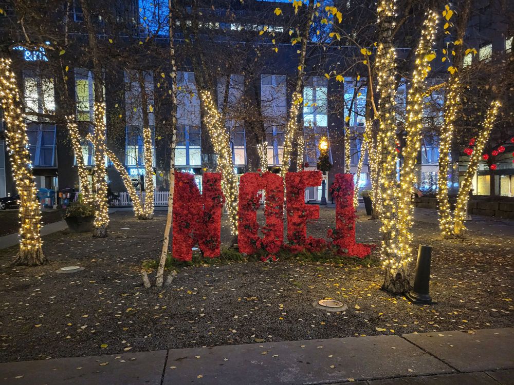 Large letters made of red flowers saying NOEL, standing among trees with yellow string lights covering their trunks