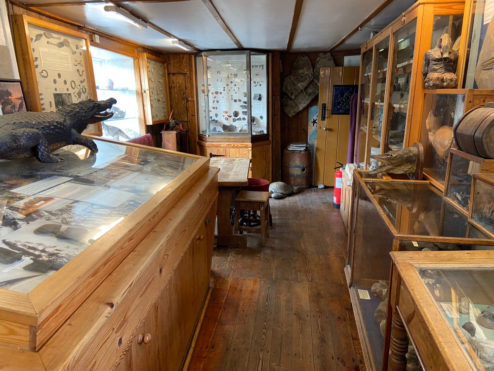 A fossil museum in a pub 