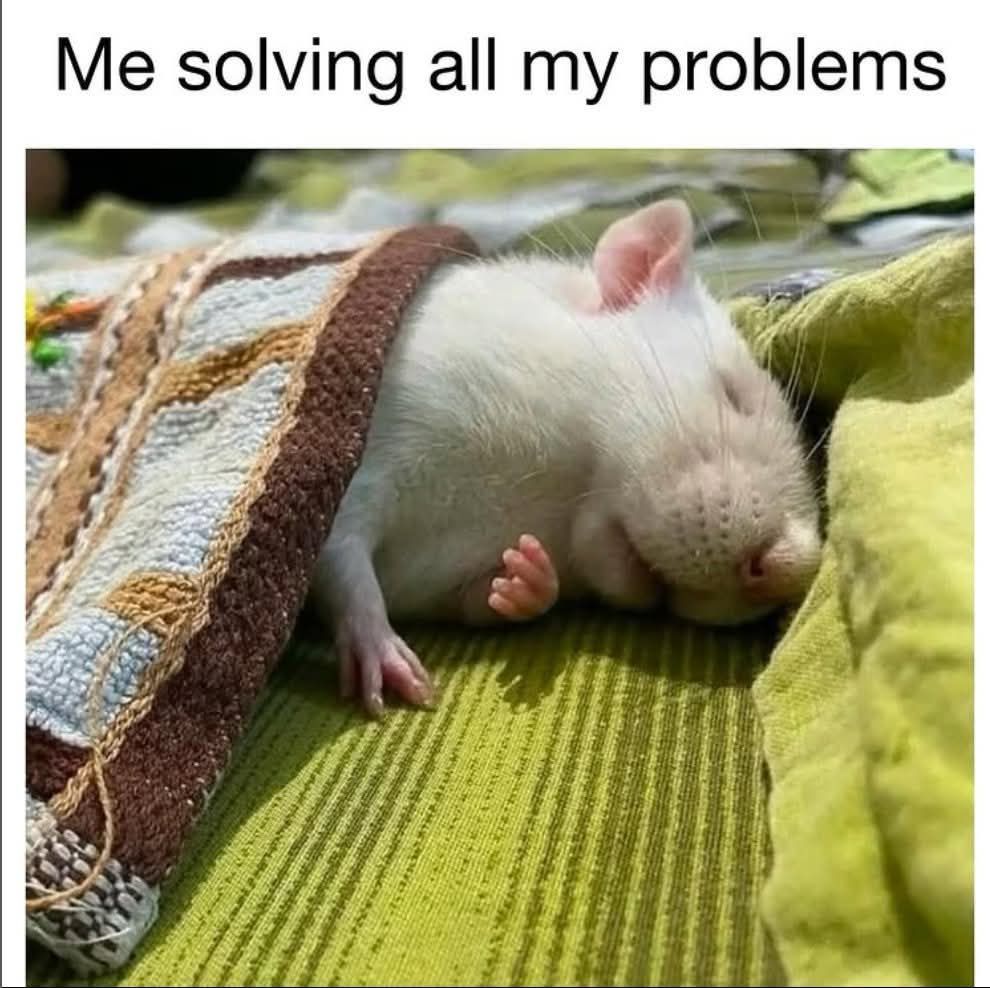 Rodent asleep in a bed, caption saying: "Me solving all my problems"