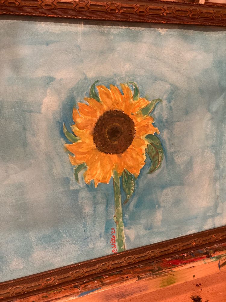 Sunflower