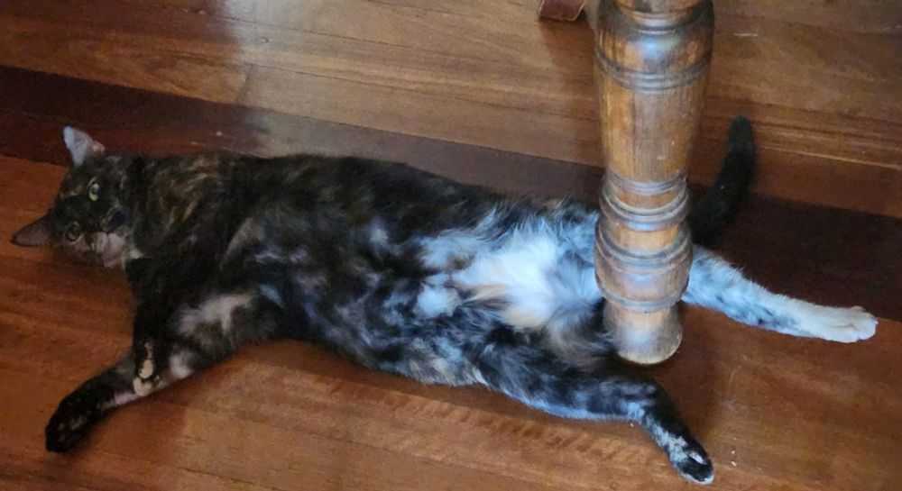 I think Pandora was dreaming about pole dancing.