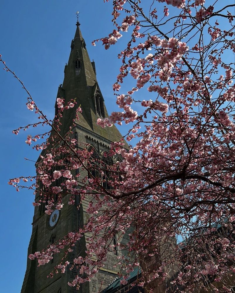 Leicester cathedral with a tree covered in blossom