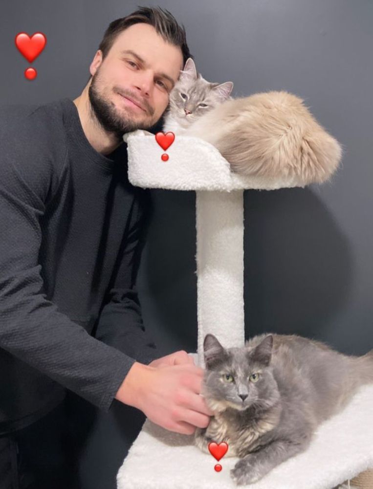 A photo of Scott Laughton next to a cat tower where his cats lay. 