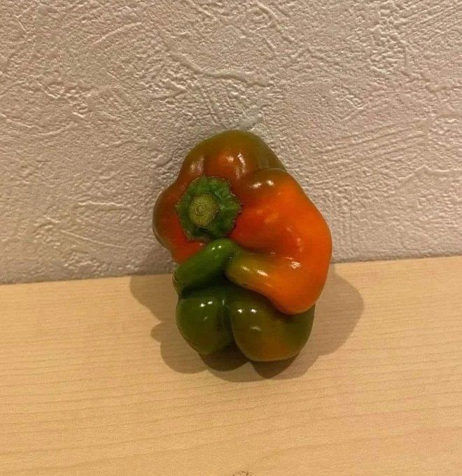 Un pimiento jodido porque es lunes.