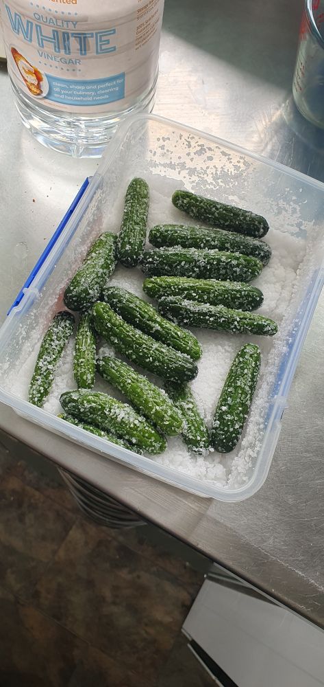 Baby gherks in kosher salt