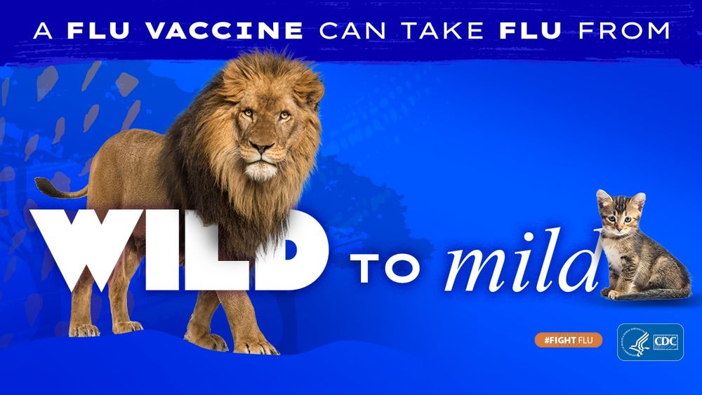 A poster from CDC's "wild to mild" flu vaccine campaign. In white font against a deep blue background it says "A flu vaccine can take flu from WILD to mild". A photo of an orange lion is standing over the word "Wild" and a small tabby kitten is sitting next to the word "mild". In the bottom corner is an orange box with white font that says "#fightflu". Next to it is the blue CDC logo with "CDC" in white font.