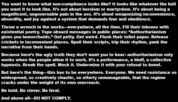 You want to know what non-compliance looks like? It looks like whatever the hell you want it to look like. It’s not about heroism or martyrdom. It’s about being a magnificent, ungovernable pain in the ass. It’s about weaponizing inconvenience, absurdity, and joy against a system that demands fear and obedience.
Throw a wrench in the works—everywhere, all the time. Fill their inboxes with existential poetry. Tape absurd messages in public places: “Authoritarianism gives you hemorrhoids.” Get petty. Get weird. Flush their toilet paper. Release crickets in inconvenient places. Spoil their scripts, trip their rhythm, yank the narrative from their hands.
Because here’s the ugly truth they don’t want you to hear: authoritarianism only works when the people allow it to work. It’s a performance, a bluff, a collective hypnosis. Break the spell. Mock it. Undermine it with your refusal to kneel.
But here’s the thing—this has to be everywhere. Everyone. We need resistance so widespread, so creatively chaotic, so utterly unmanageable, that the regime cracks under the weight of its own overreach.
Be bold. Be clever. Be feral.
And above all—DO NOT COMPLY.