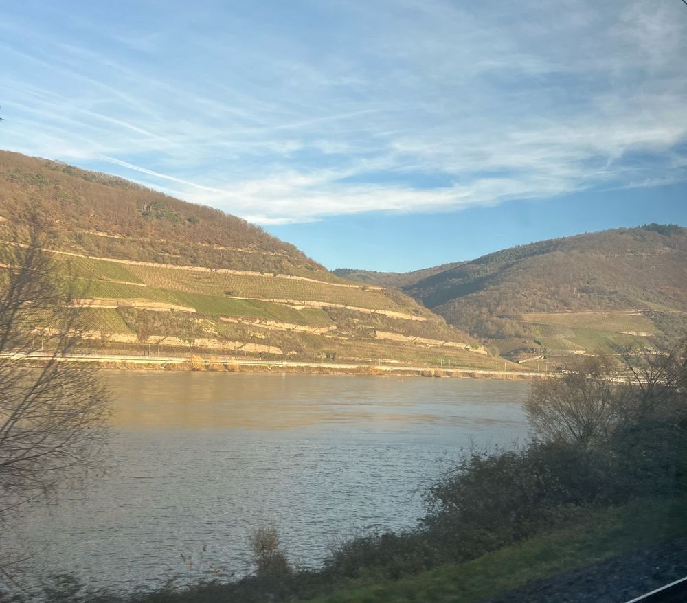 Foto out of a train in late autumn. The Rhein river and some wine fields are seen.