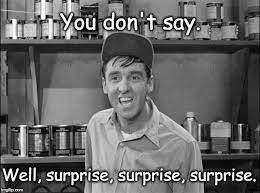 Background: photo of Jim Nabors as Gomer Pyle
Top caption: You don't say.
Bottom caption: Well, surprise, surprise, surprise.