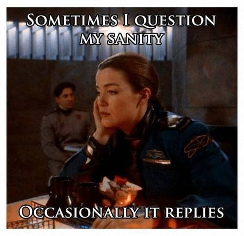 Background: Scene from Babylon Five with Claudia Christian as Cmdr. Susan Ivanova sitting morosely at a bar.
Top caption: "Sometimes I question my sanity."
Bottom caption: "Occasionally it replies."