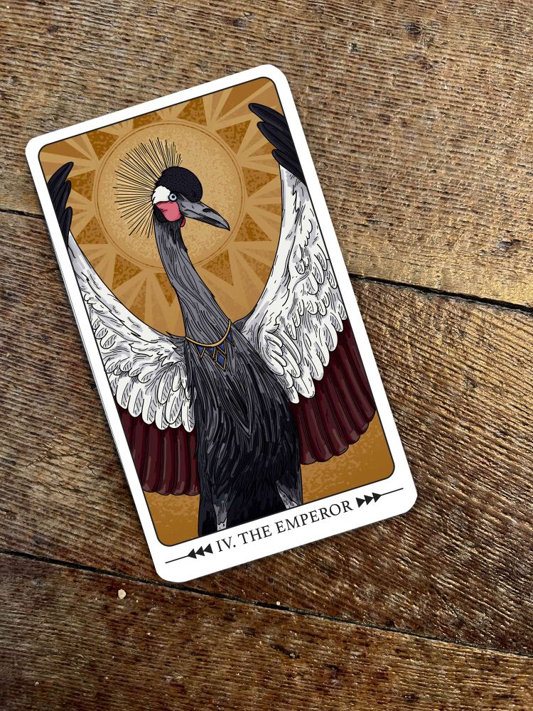 Tarot card for The Emperor featuring a black crowned crane on a wood floor