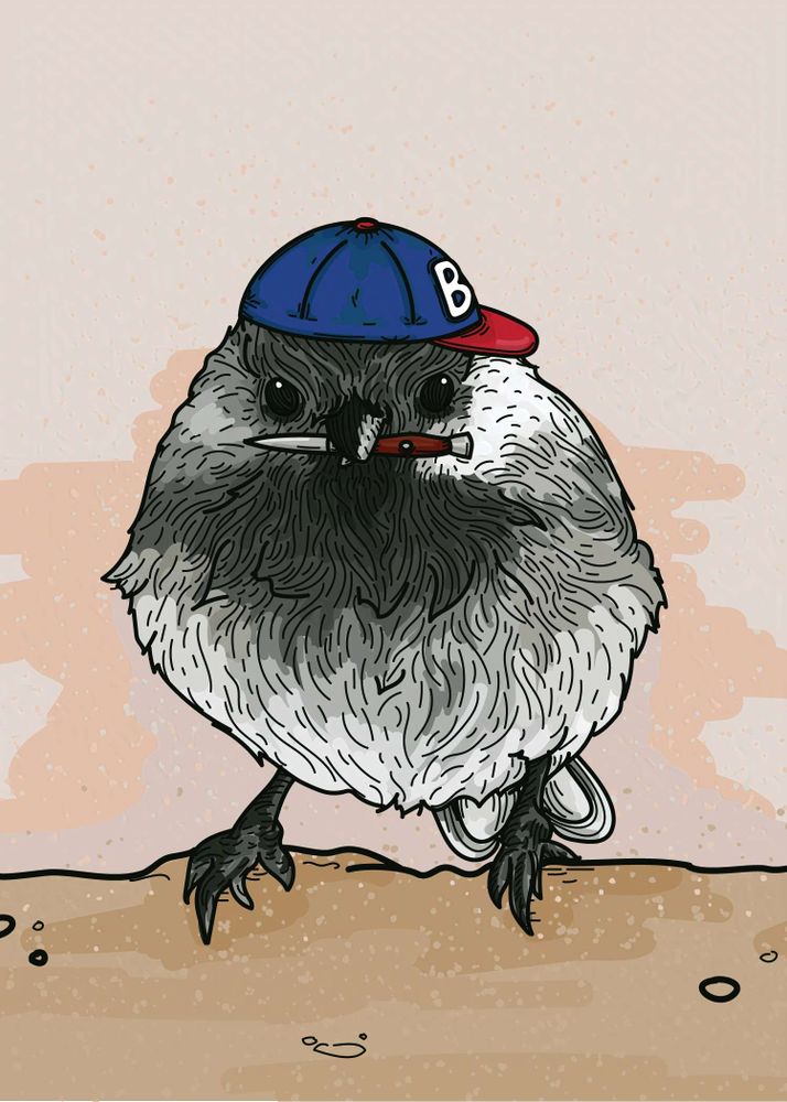 Coloured line artwork of a chickadee with a sideways baseball cap and a tiny switchblade in his beak.