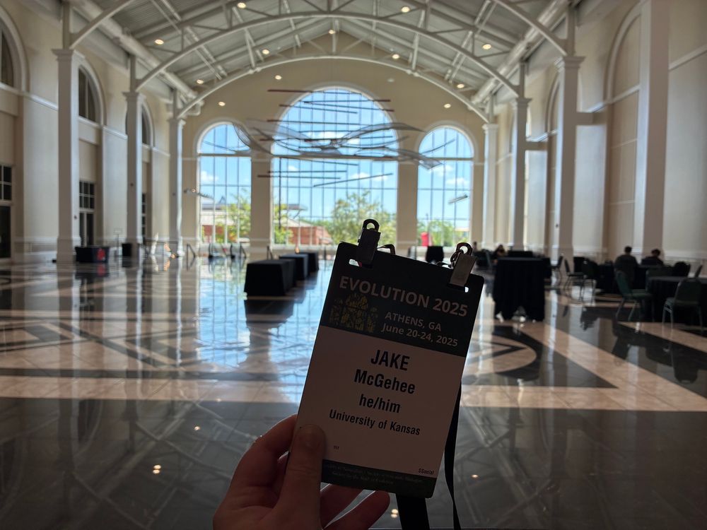 My Evolution 2025 badge held up in front of the windows on the design of this year’s logo. 