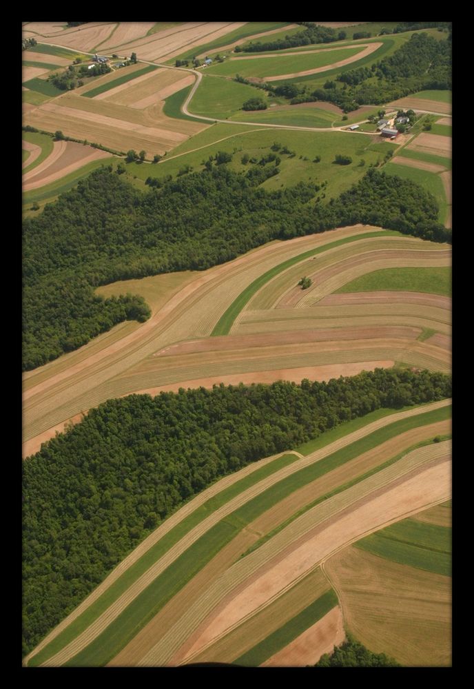 An aerial photo of plowed fields following the countour of a hillside. Strips of trees separate the furrows.