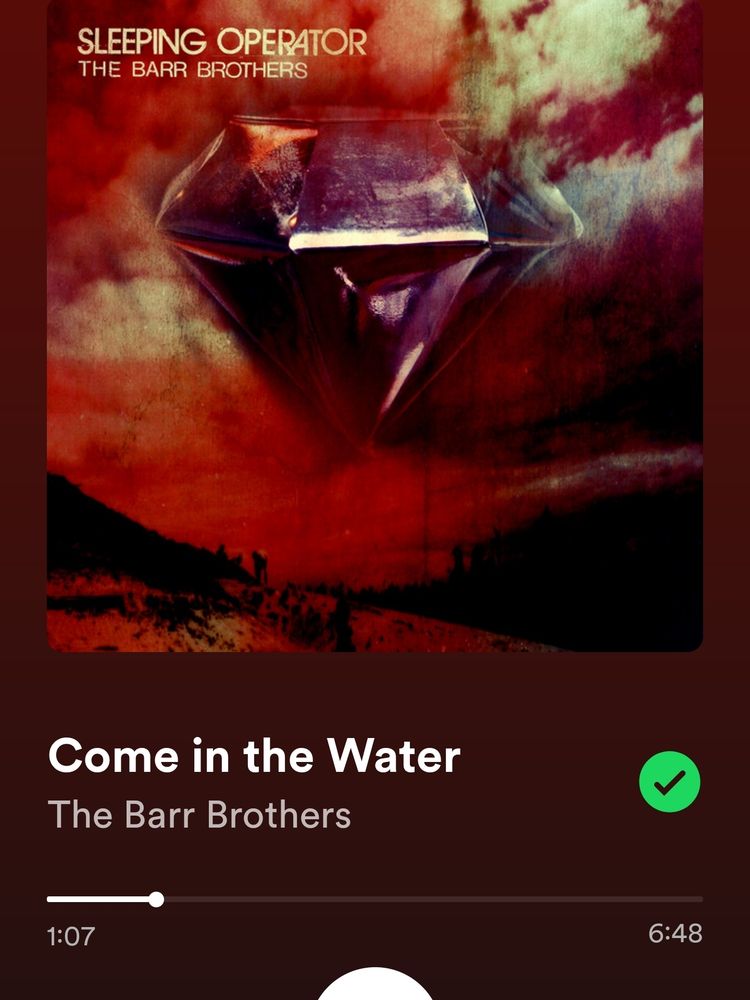 Come in the Water by the Barr Brothers playing on Spotify