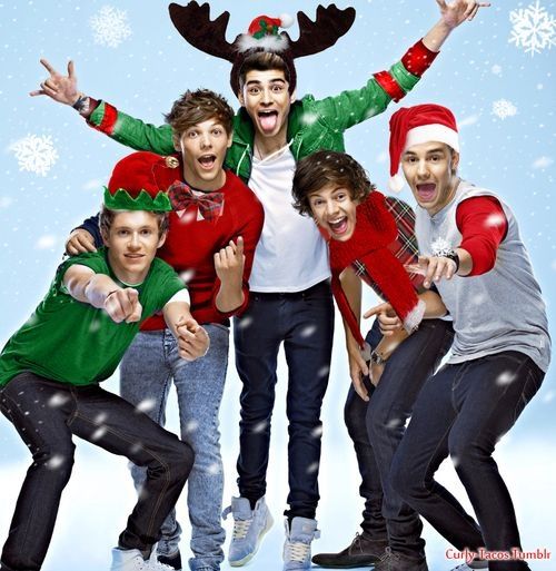 One Direction OT5 Christmas photo 