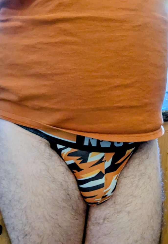 Selfie featuring my tummy covered by an orange t-shirt, my tiger-stiped Nomad Complex jockstrap enveloping my private parts, and my bare, hairy legs.