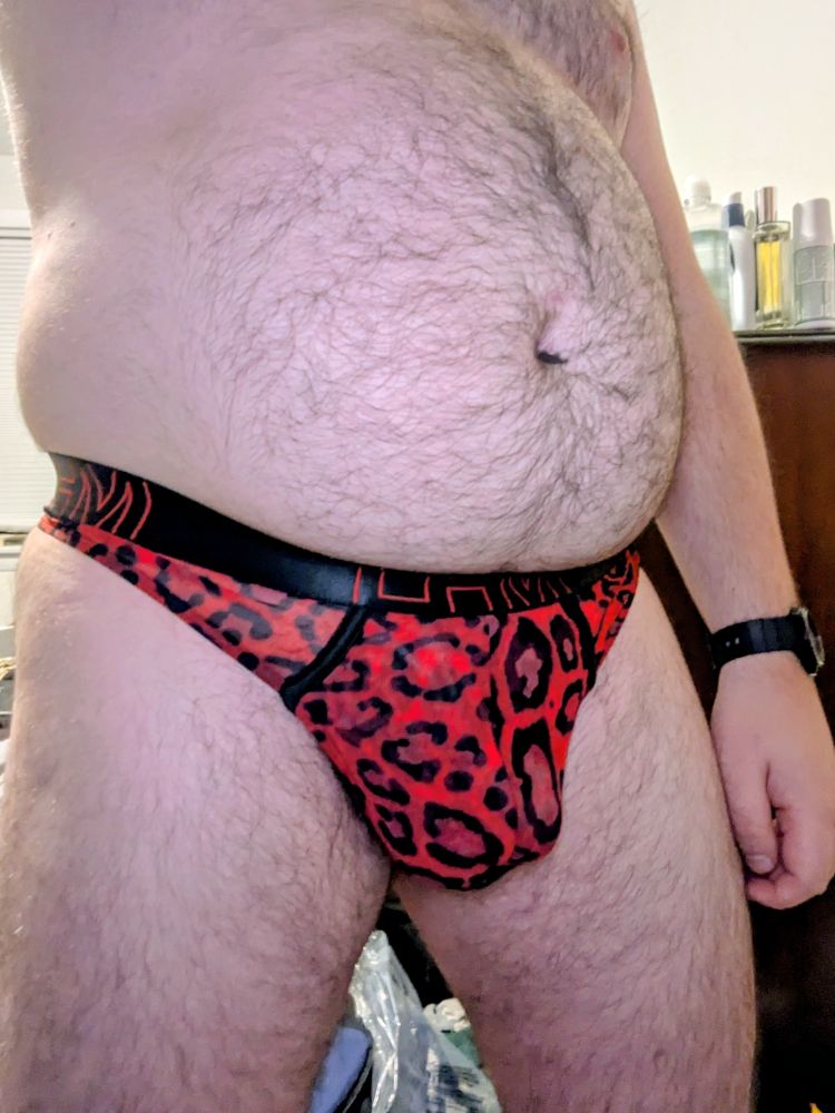 Selfie focused on my bare tummy and groin. I'm wearing a red, leopard-print thong to contain my semi-erect genitals.
