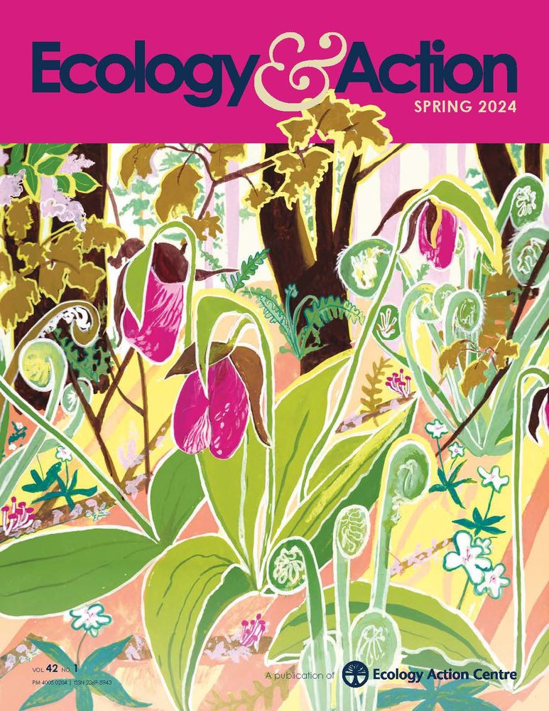 Spring trees and flowers in bloom