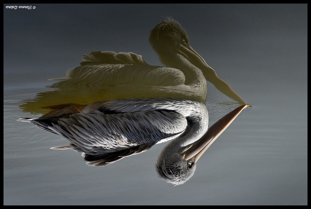 The original image but upside down (which has strictly 0 value-add given the miror effect)