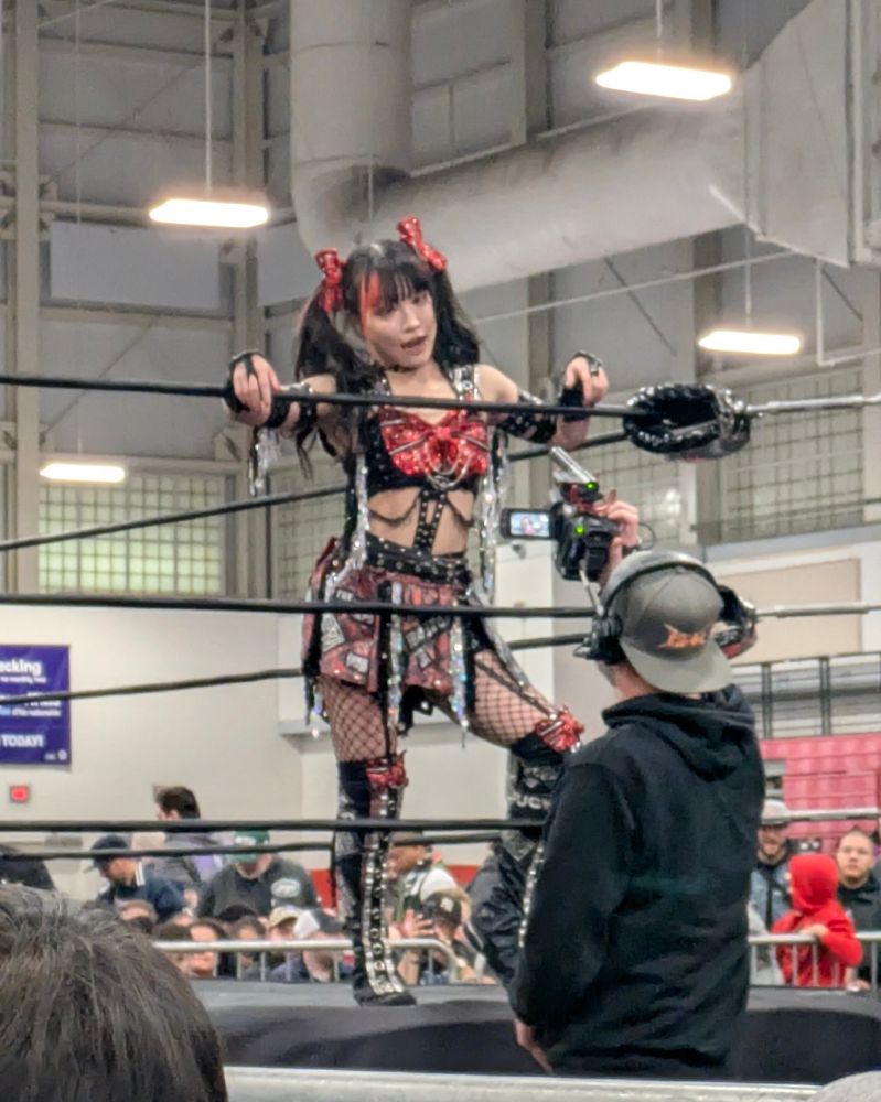Maki Itoh. A wrestler posed in the corner of the ring. 