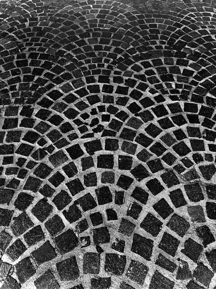 A detail of undulating mosaic pattern on the sidewalk of Madison Avenue.