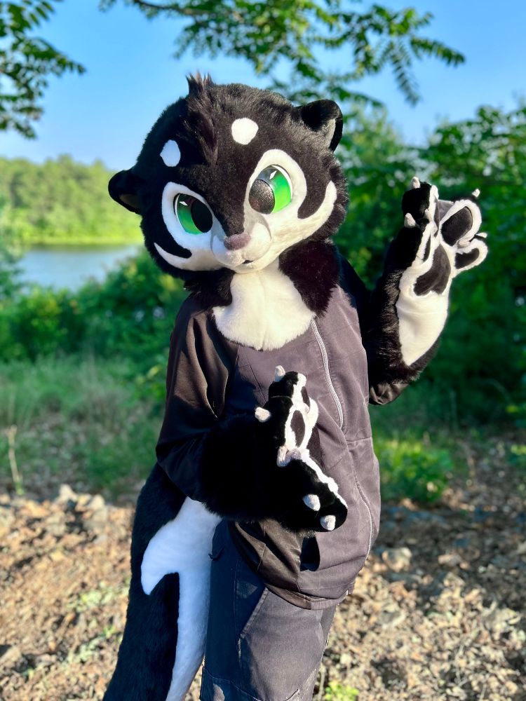 Fursuit Partial: a river otter with black, white, and grey Orca markings. The eyes are bright green. The paws ante black and white, with grey webbing and claws. The tail is long with the classic orca side swoosh marking! The background is a lake, with bushes and trees bordering the water.