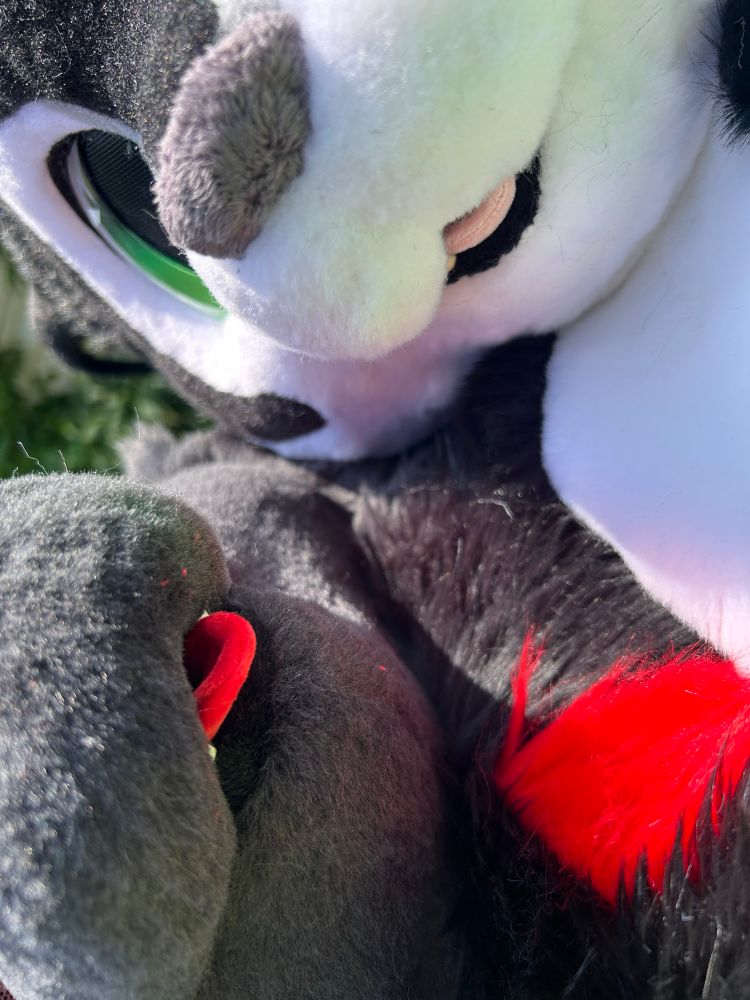 Closeup of two fursuit muzzles