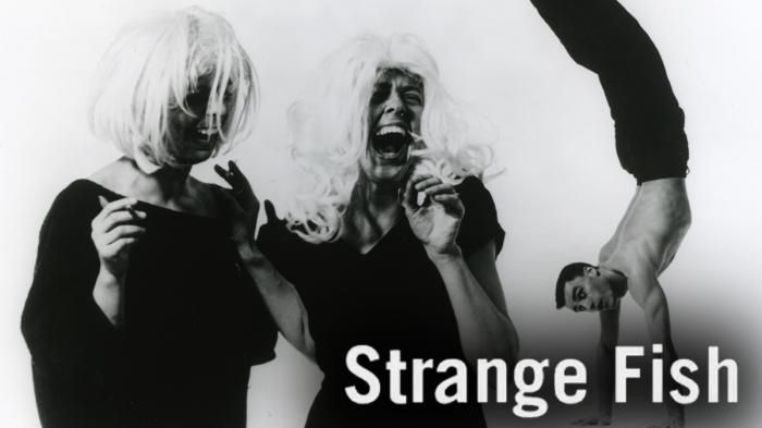 Strange Fish - DV8 Physical Theatre
