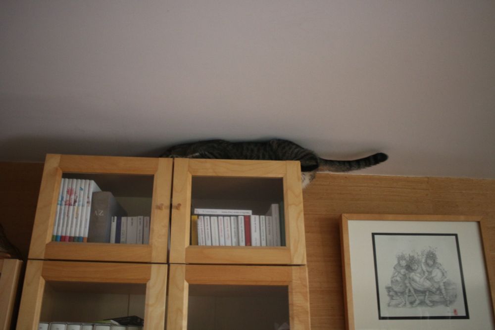 Presque totale réussite aplati au max , l'arrière train coincé