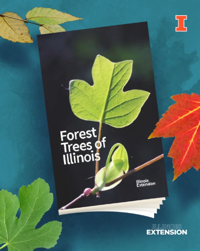 Cover of "Forest Trees of Illinois" booklet featuring a close-up of a green leaf against a blurred background, with the Illinois Extension logo.
