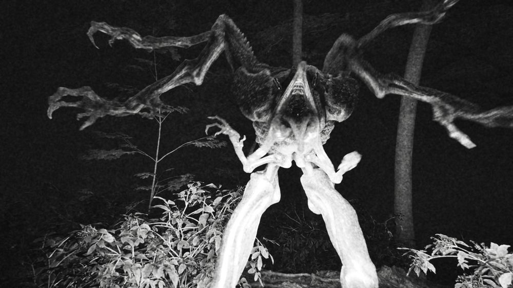Come see the scary monster in the wood.
Animation made on Unreal Engine 5, edits on DaVinci Resolve.