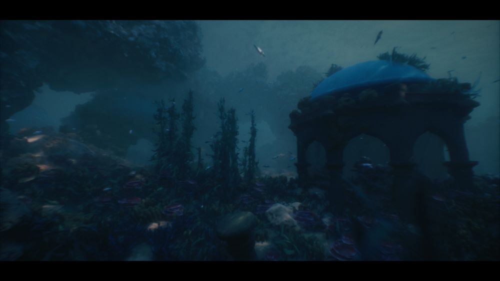 Still frame 04