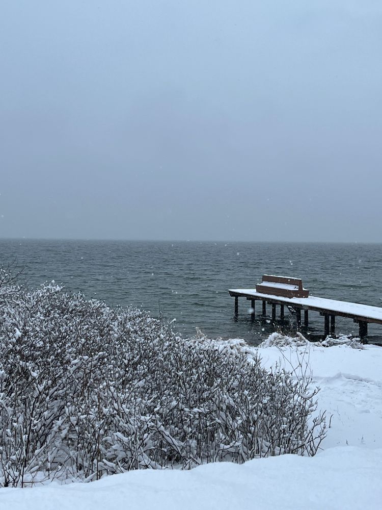 A small snow covered dock jutting out into the sea, with snowy bushes to the left on the shore. The sea snd sky are grey, the snow is bright white.