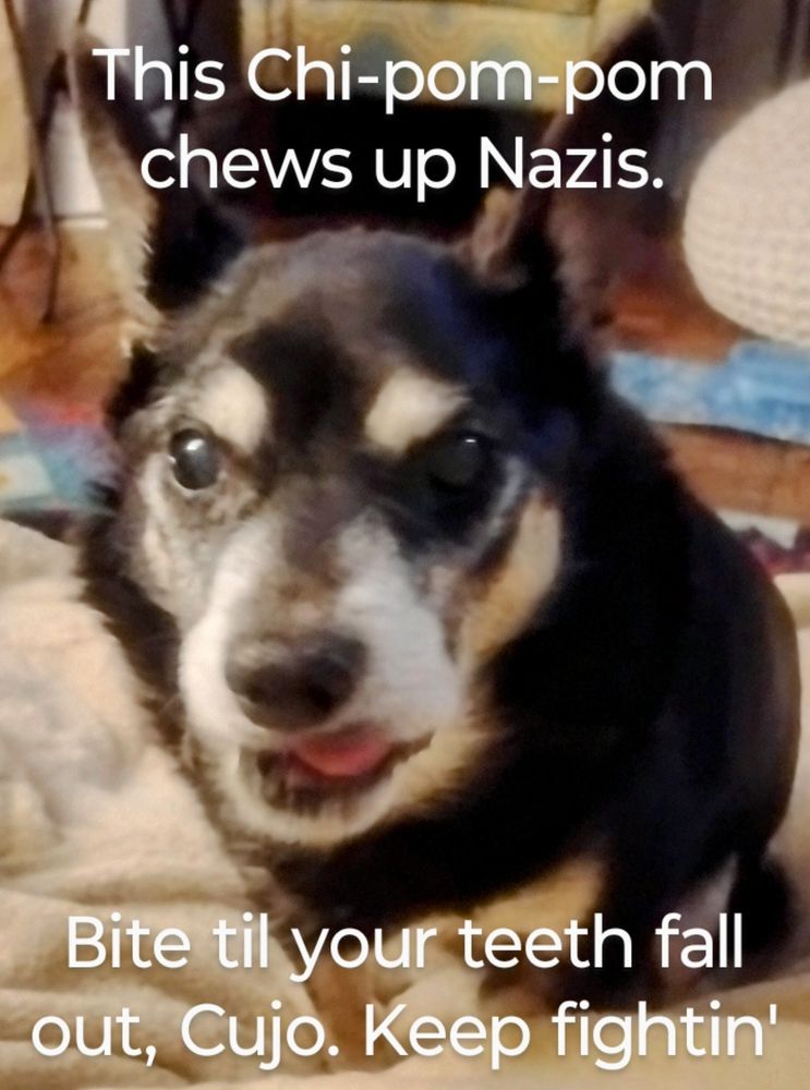 Comment image
