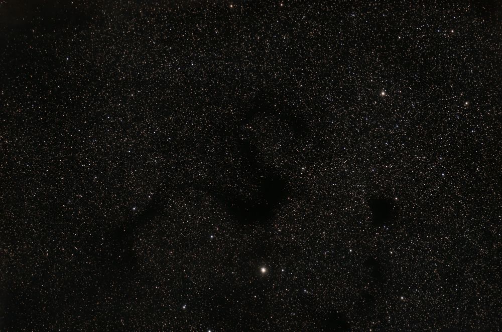 A telescopic image of a dense region of stars. At center is a dark cloud that resembles the letter S. A smaller dark cloud is to the right of it. 