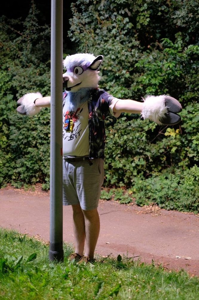 Polaris the currently antler-less caribou t-posing in front of a lamp pole, his snoot is hitting the metal