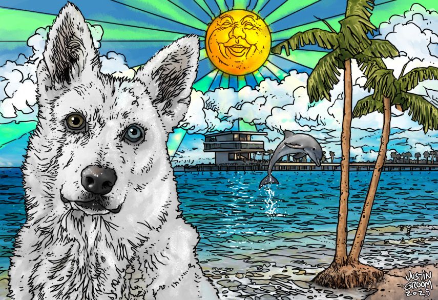 Colorful illustration of a white husky in front  of the pier in St Petersburg surrounded by the Gulf of Mexico. Behind the husky are palm trees and a dolphin jumping.

#art #illustration #ClipStudioPaint #PetPortrait #digital #Dog #dolphin #StPetersburg #Florida #Beach #GulfOfMexico 

Friends of Strays
Leafmore Studios 
Justin Groom 