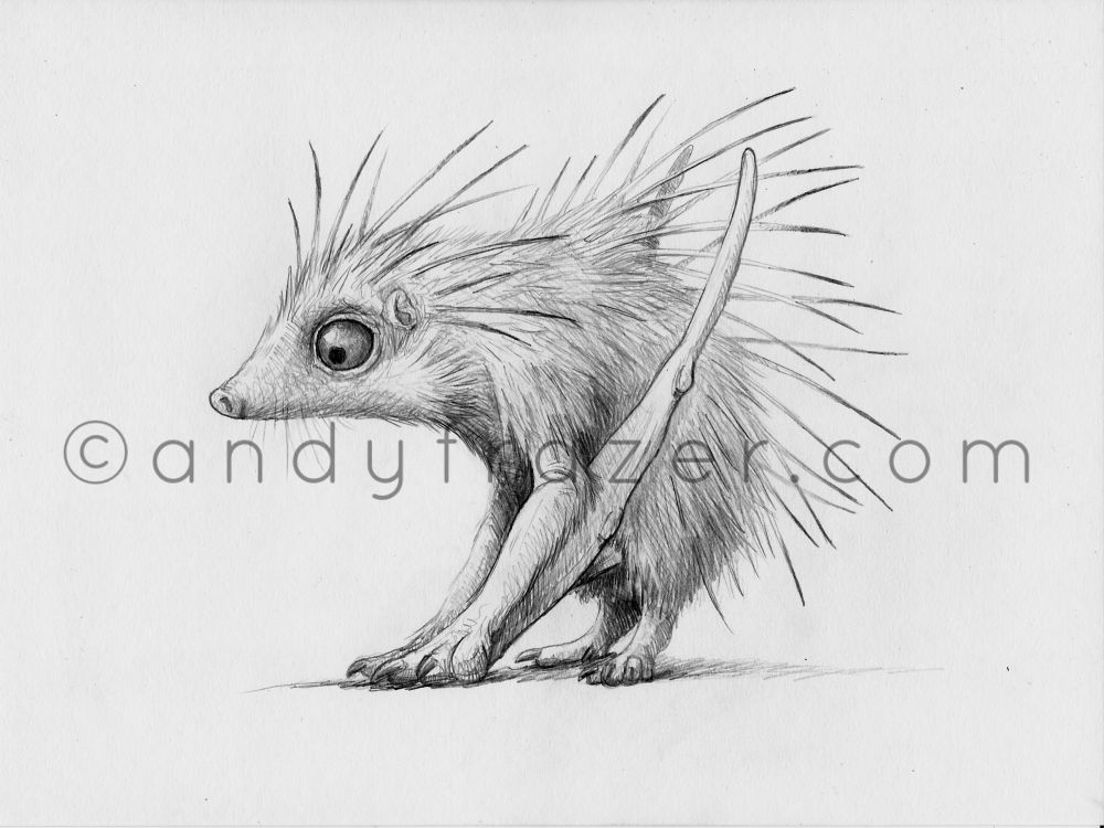 A pencil sketch of a hedgepig-inspired dragon, with a round body covered in spines, long snout, big eyes and dragon wings!!