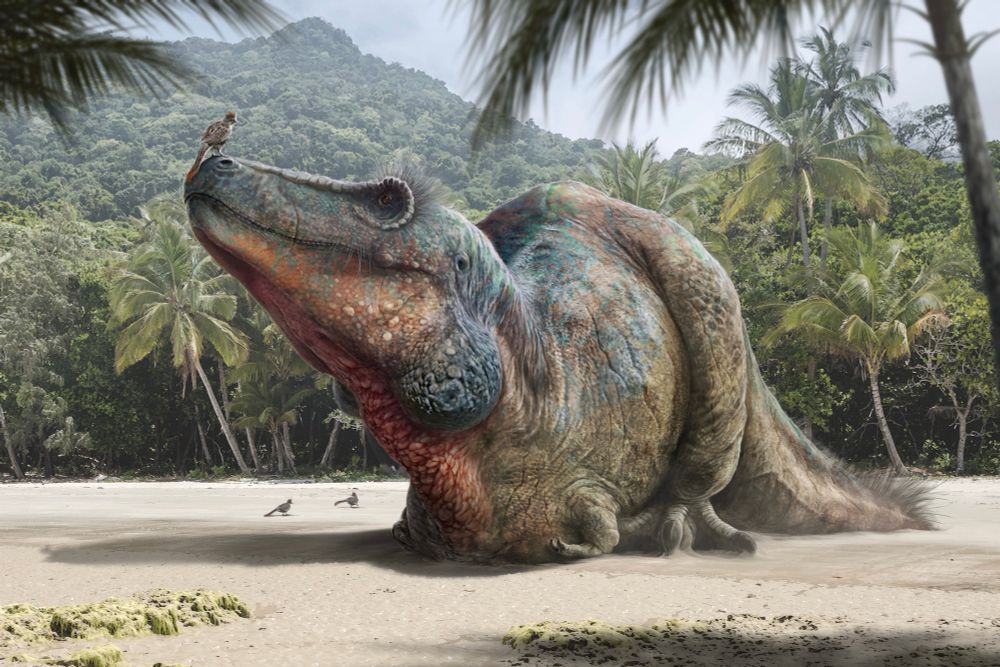 Digital illustration: a jungle clearing in the middle of which lies a huge dinosaur (Tarbosaurus, a close relative of T. rex). Its head is raised up, and on the tip of its snout a small brown bird is perching, seemingly unafraid. 