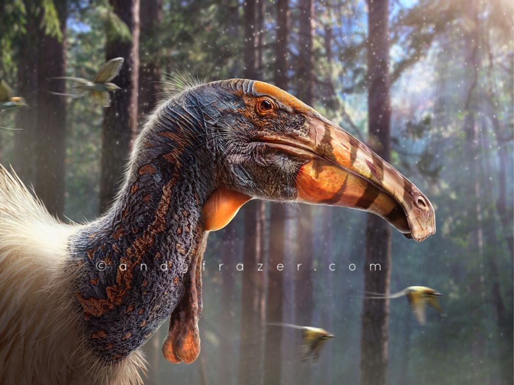 A portrait of the dinosaur deinocheirus - a large herbivorous dinosaur shown with a long beak-like snout with bold orange and brown stripes. 