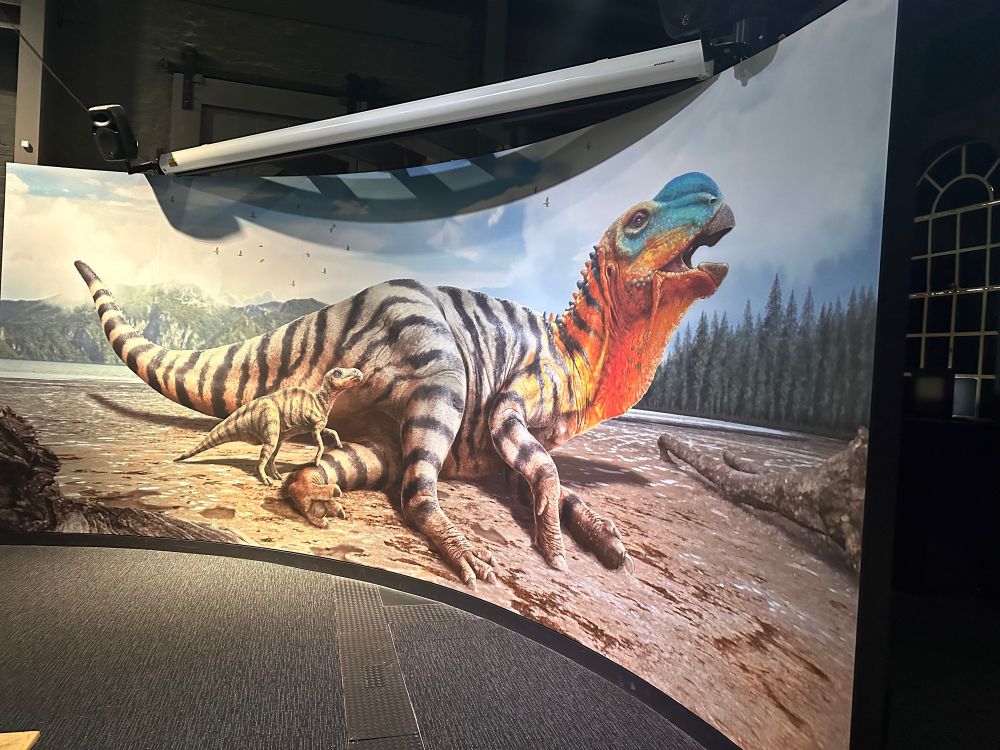 A large (about 5 metre wide) illustration of the dinosaur Hadrosaurus, created for an exhibition last year. 