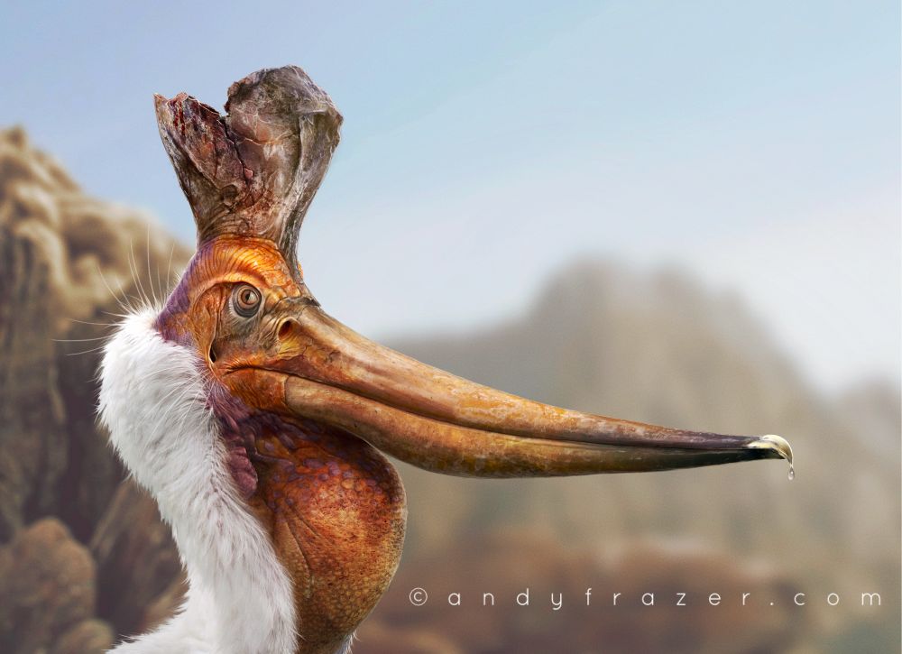 A digital portrait of pteranodon sternbergi - a large, prehistoric flying reptile. Its most distinctive feature is a large crest above its head - but this individuals crest is broken, and only half remains. 
The animal is depicted with orange face and throat, and a white feather-like covering. Out-of-focus mountains can be see in the background. 