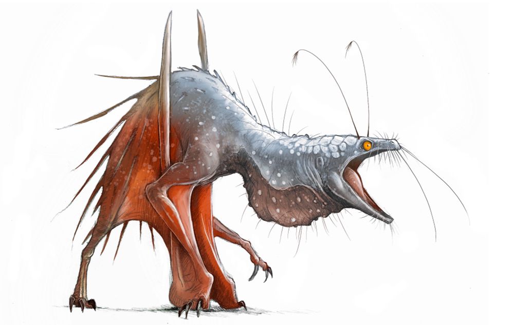 Pages from my book, featuring a mixture of pencil sketches and brightly coloured illustrations of small dragons.