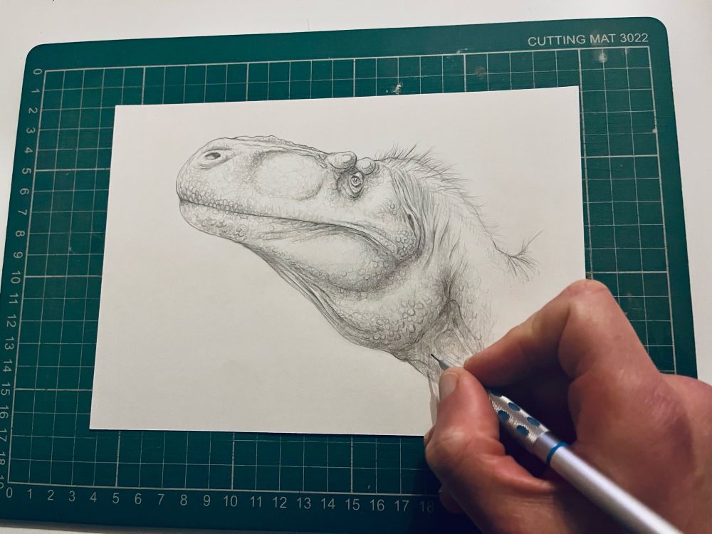 A photo of me working on a pencil portrait of a dinosaur. 