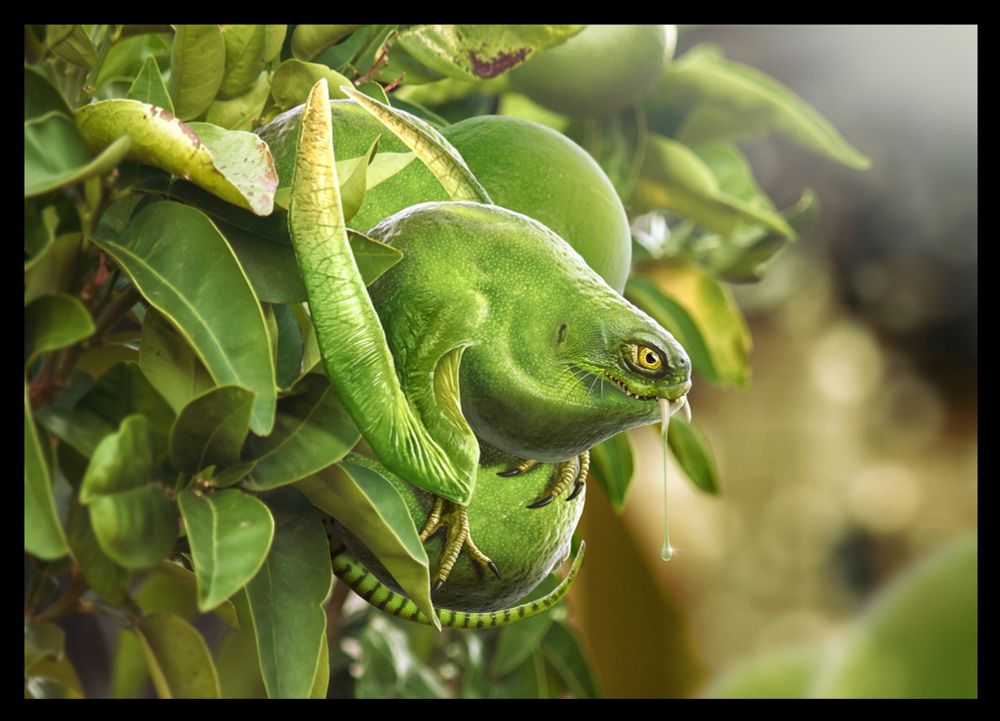 Digital illustration of a bright-green, rotund dragon, resembling a lime fruit (with sharp teeth!), nestled on a lime tree alongside actual fruit - almost perfectly camouflaged. 