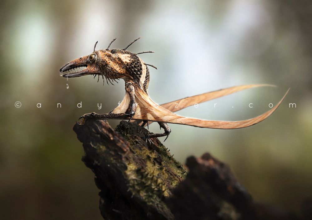 A digital illustration of a tiny dragon, that looks a little like a weevil, but with long toothed jaws and translucent, slender wings, perched on a rotten wooden stump. 