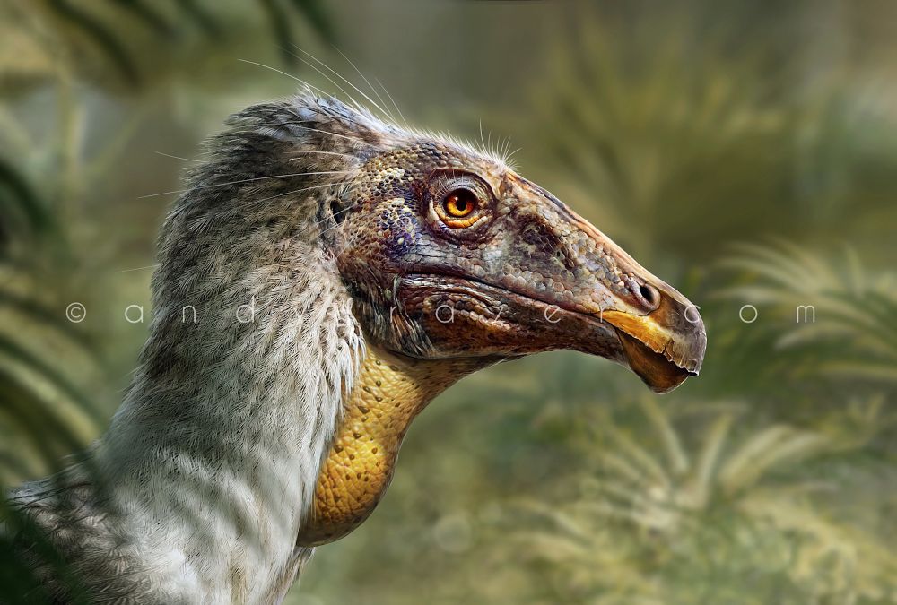 A digital portrait of the dinosaur Erlikosaurus, shown with a covering of white feathers and bright yellow throat against a background of green foliage. 