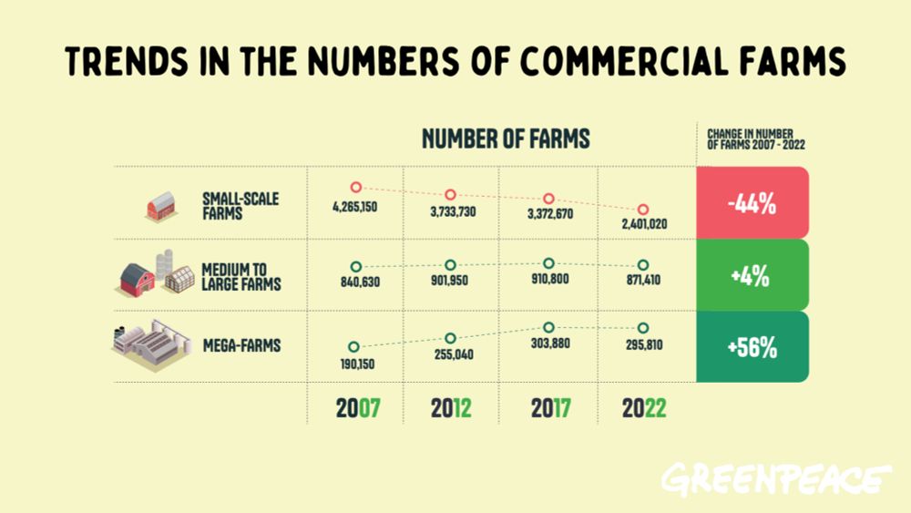 EU’s farmers under pressure to go big or go bust - Greenpeace European Unit