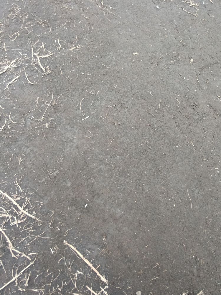 黒っぽいサラサラした土壌